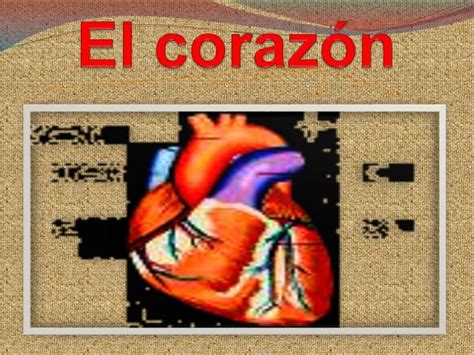 Power Point Del Corazon Ppt
