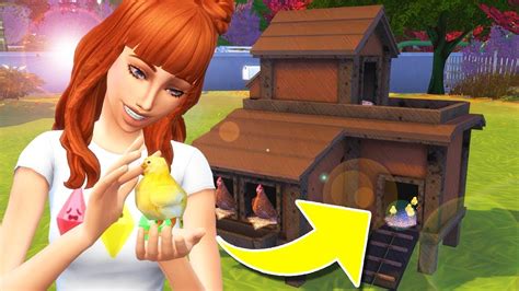 New Chicken Coop Mod The Sims 4 Functional Realistic Mod Review