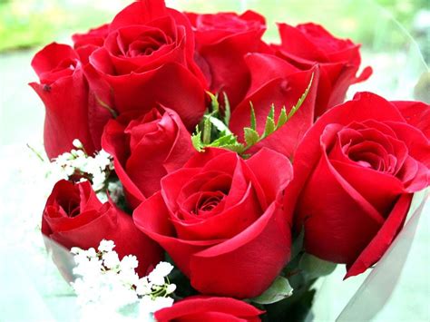 Romantic beautiful rose flower background design. Beautiful Flowers Wallpaper Free Download 1024×768 ...