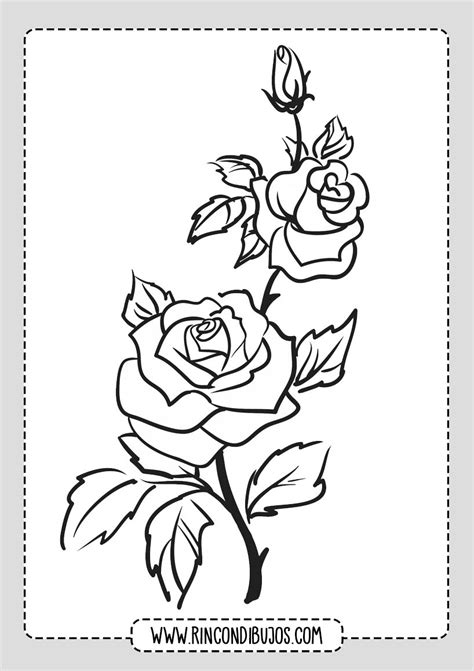 Dibujos De Rosas Para Pintar Y Colorear Rincon Dibujos Páginas Para