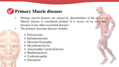SOLUTION Biology Anatomy And Physiology Muscular System Diseases