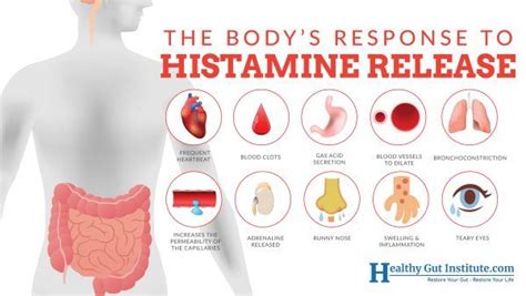Histamine Effect In Body Runny Nose Intolerance Chronic Inflammation