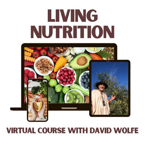 David Avocado Wolfe Living Nutrition E Course David Wolfe Shop