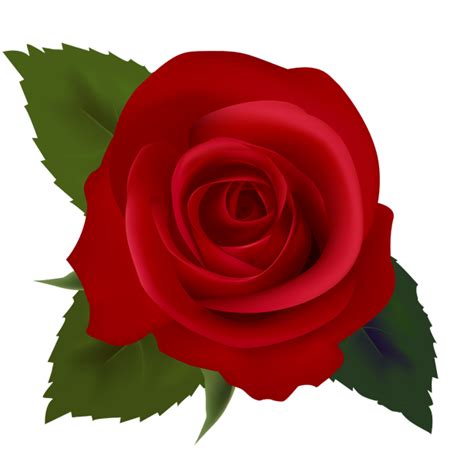 Rose Flower Clip Art Clipart Best