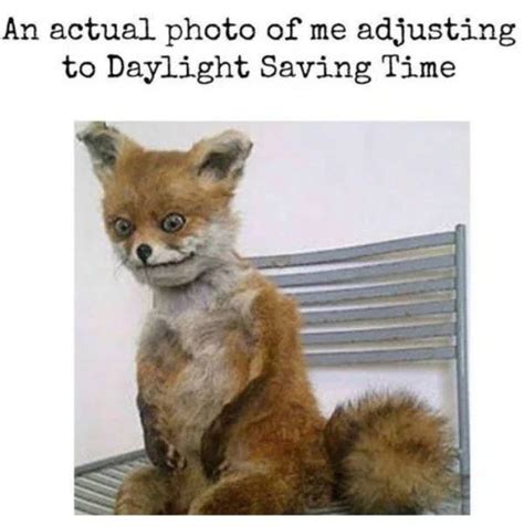 Memes For When You Need An Extra Hour Of Daylight 22 Pics