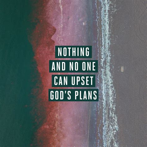 Nothing and no one can upset God’s plans - Sunday Social