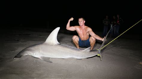 Hammerhead Shark Caught And Released From Shore Youtube