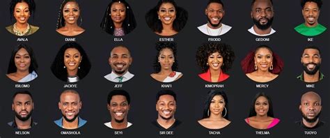 Big Brother Naija Vote Season 4 Big Brother Nigeria