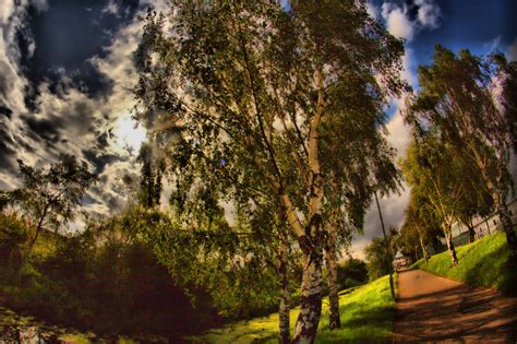 Hdr Tree Skies By Tmprojection On Deviantart