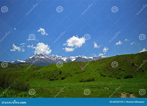 Green Meadow With Snowy Mountains On Background Stock Image Image Of