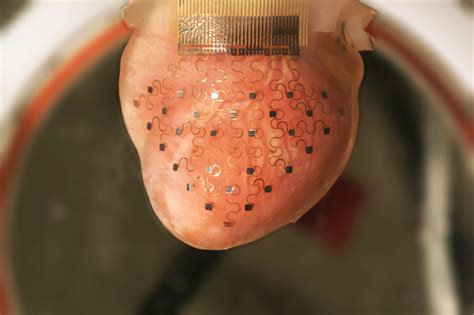 3d Printed Electronic Glove Could Help Keep Your Heart Beating For