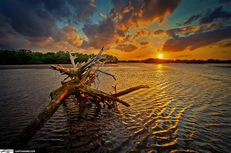 Driftwood From Lake Driftwood Water Sunset Clouds Sky Lake Hd