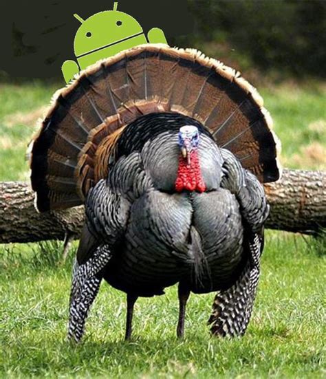 Hours can vary and not all locations will be open. Happy Thanksgiving Everyone! - Droid Life