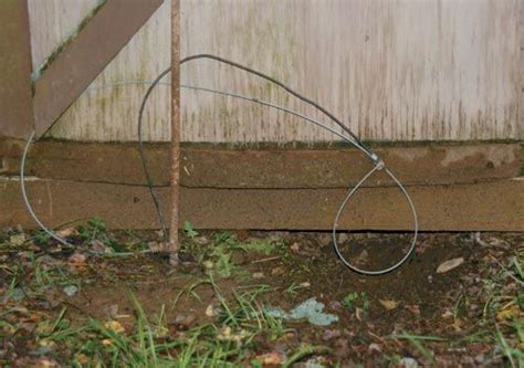 We've had a little groundhog problem, and thought we might as well tell you guys how to trap them. Build a Groundhog Snare - Backwoods Home Magazine | House ...