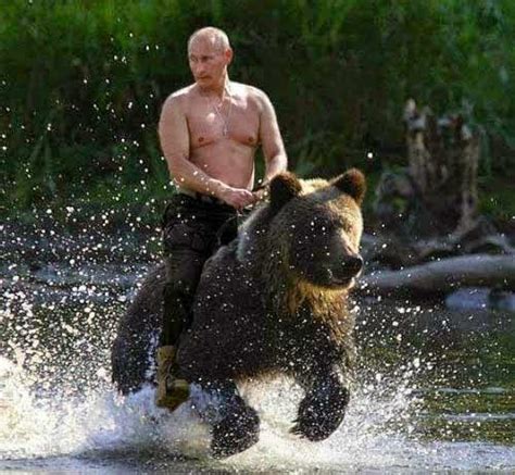 Putin bear meme | vladimir putin: Putin comemorou em grande estilo vitória da Rússia na ...