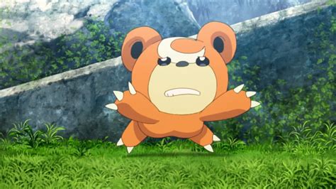 27 Awesome And Interesting Facts About Teddiursa From Pokemon - Tons Of