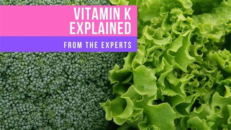 Vitamin K Explained Quick Guide The Nash Facts™ Project
