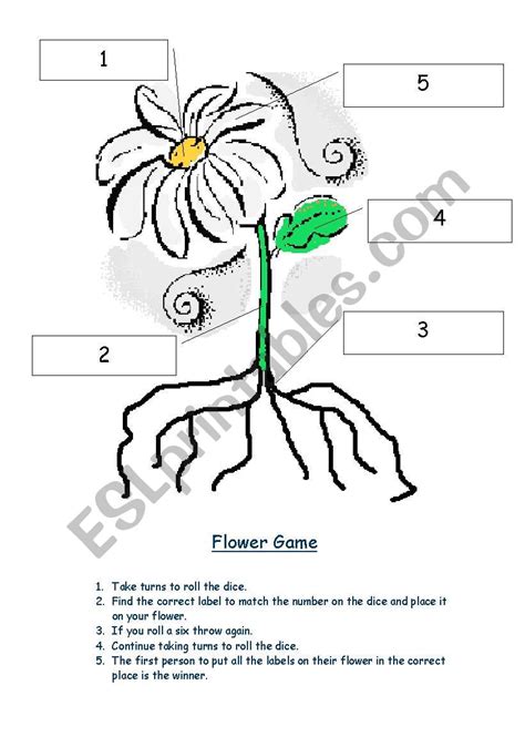 Label Parts Of A Plant Worksheet