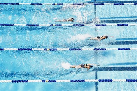 Competitive Swimmers Racing In Outdoor Pool Royalty Free Image