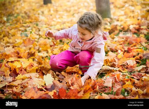 Cute Little Girl With Missing Teeth Playing With Yellow Fallen Leaves