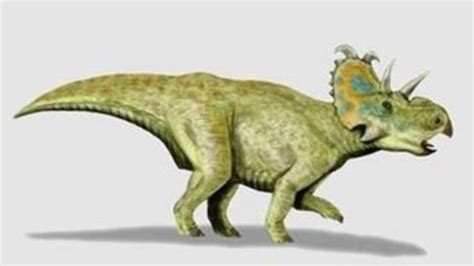 Descubierta Una Nueva Especie De Dinosaurio Que Tiene Cuernos Y Es