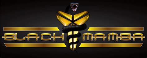 Nike kyrie 3 'mamba mentality'. Black Mamba Logo Wallpapers - Wallpaper Cave