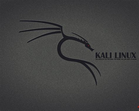 Support us by sharing the content, upvoting wallpapers on the page or sending your own background pictures. Free download Kali Linux wallpapers Kali Linux stock photos 1920x1200 for your Desktop, Mobile ...