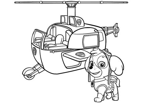 Skye Paw Patrol Coloring Lesson Kids Coloring Page