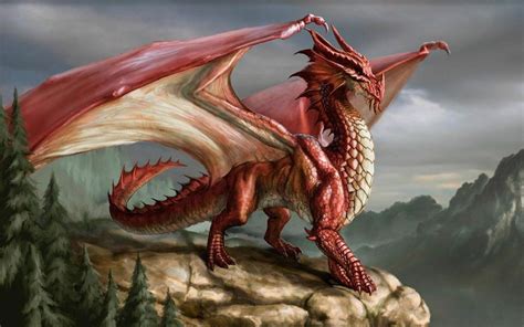 Red Dragon Wallpapers Full Hd Wallpaper Search Dragon Images Dragon