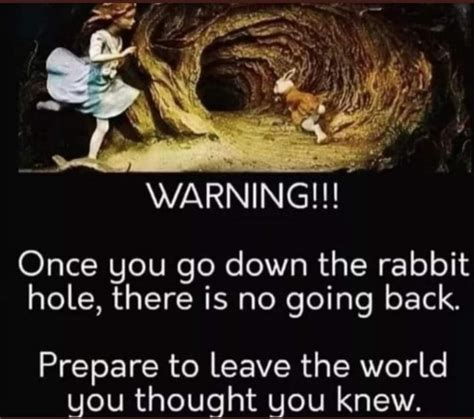 Warning Once You Go Down The Rabbit Hole There Is No Going Back Prepare To Leave The World