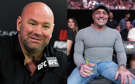 Dana White Comments On The UFC Commentator Attending Fight Night Event