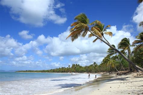 Météo Sainte Anne Prévisions Météo Voyage à 14 Jours Pour Sainte Anne