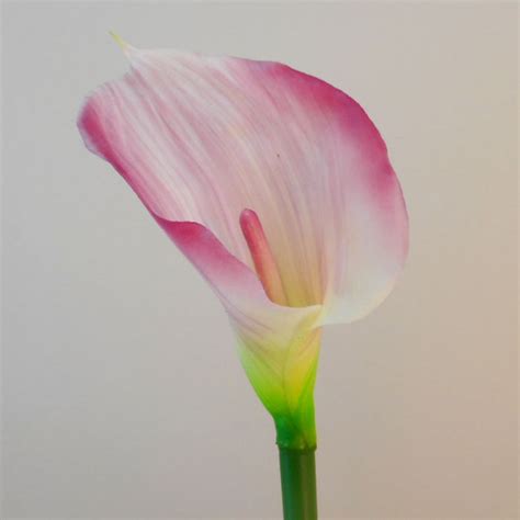 Artificial Calla Lilies Real Touch Pink Cream Cm Artificial Flowers