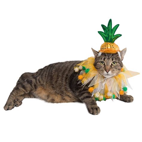 Pineapple Hat And Collar Cat Costume Pet Krewe