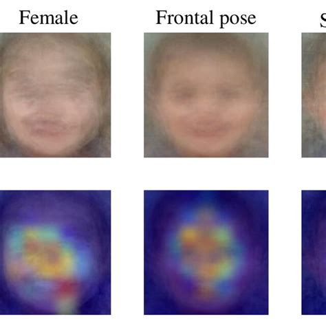 facial image pre processed augmentation pipeline download scientific diagram