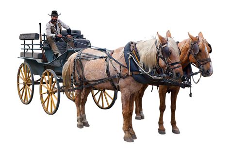 Wagon Western Horse Free Image On Pixabay