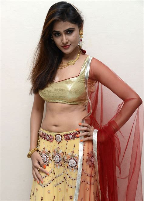 Tamil Actress Sony Charishta Hot Latest Spicy Navel Show Stills Hot