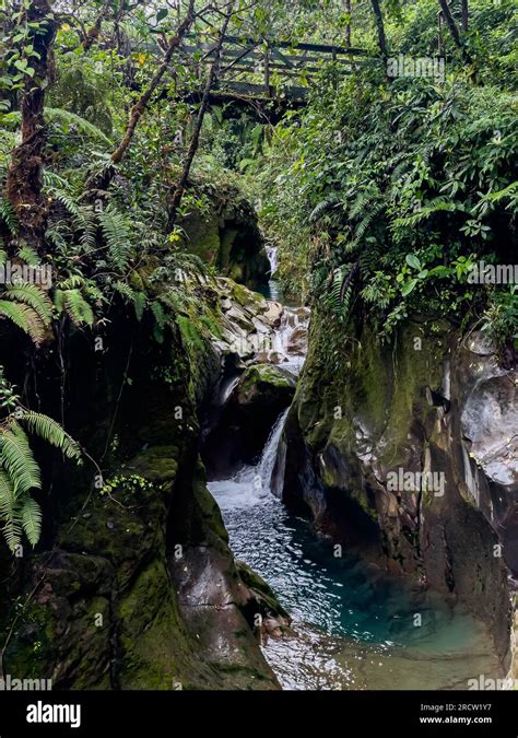 The Beautiful Costa Rica Rainforest Waterfalls And Blue River In The