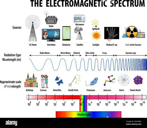 Science Electromagnetic Spectrum Diagram Illustration Stock Vector
