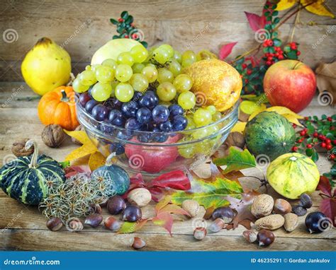 Rich Harvest - Autumn Harvest Stock Image - Image of berries, quince