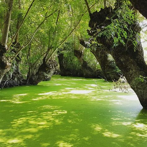 Rêverie ou simple curiosité, souvenirs de vos dernières vacances ou préparation… Le Marais Poitevin www.guide-charente-maritime.com ...