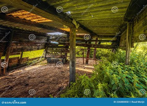 Interior Of A Neglected Wooden Shed Stock Photo Image Of Overgrown