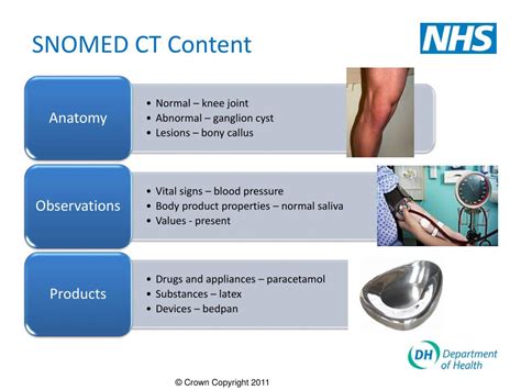 PPT Why SNOMED CT Features Examples Of Use Benefits PowerPoint