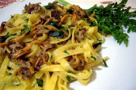 Per raccogliere i funghi è necessario seguire. Tagliatelle ai Finferli