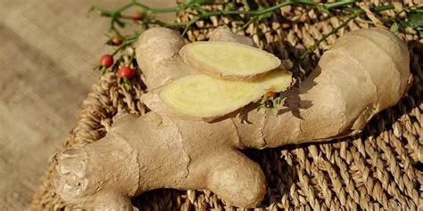 What To See When Buying Ginger How To Store It What To See When Buying Ginger How To Store It