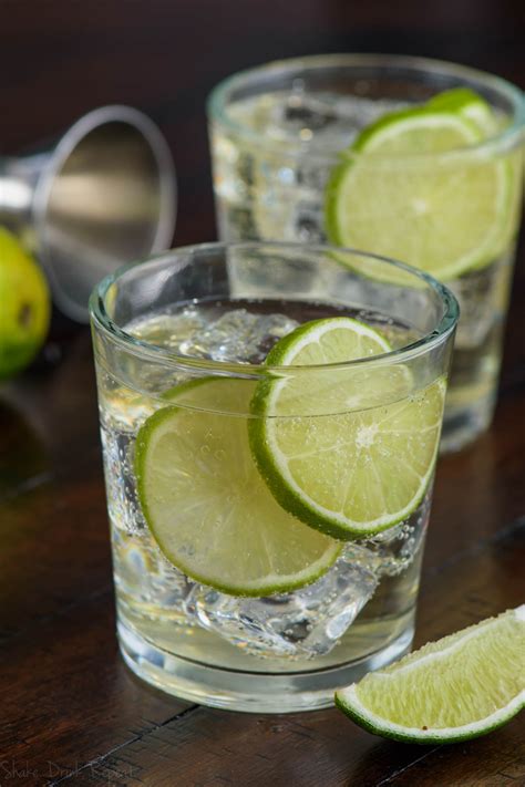 Gin is a distilled alcoholic drink that derives its predominant flavour from juniper berries (juniperus communis). the_perfect_gin_and_tonic_recipe_image - Shake Drink Repeat