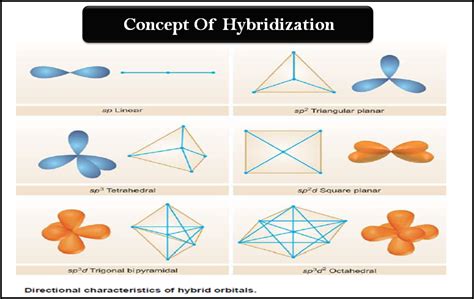 Hybridization Definition Types Rules Examples Read Chemistry