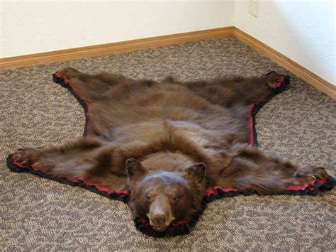 Small Real Black Bear Rug Or Wall Hanging Great For Your Etsy