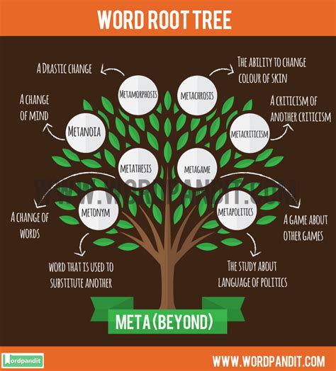 Meta Root Word Wordpandit