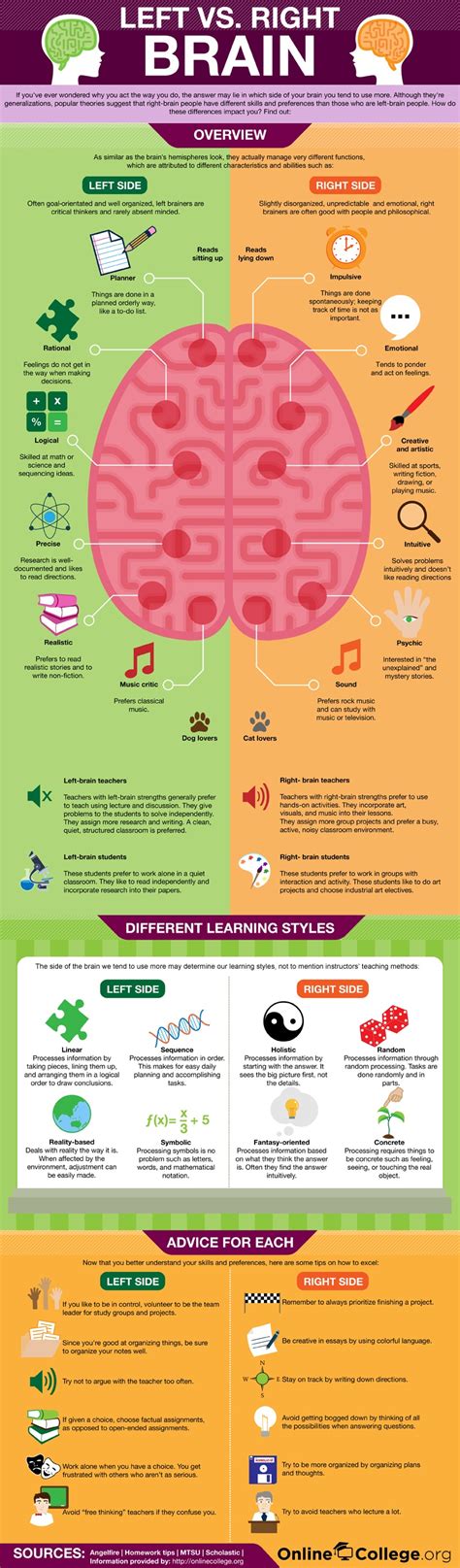 Left Vs Right Brain Infographic E Learning Infographics